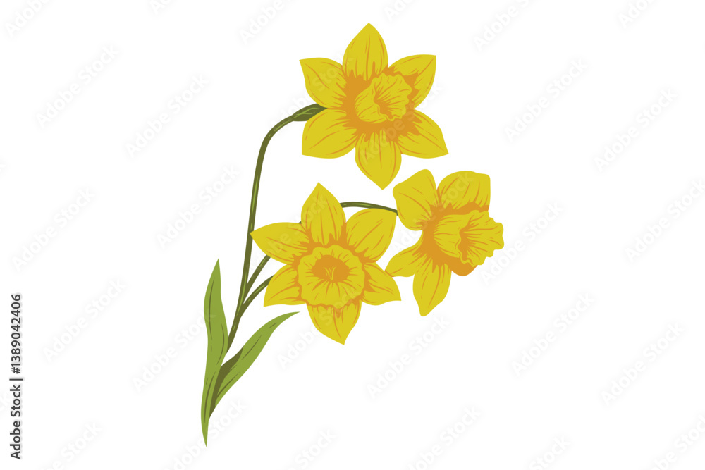Fototapeta premium Beautiful Daffodil Flower Hand Drawn Illustration