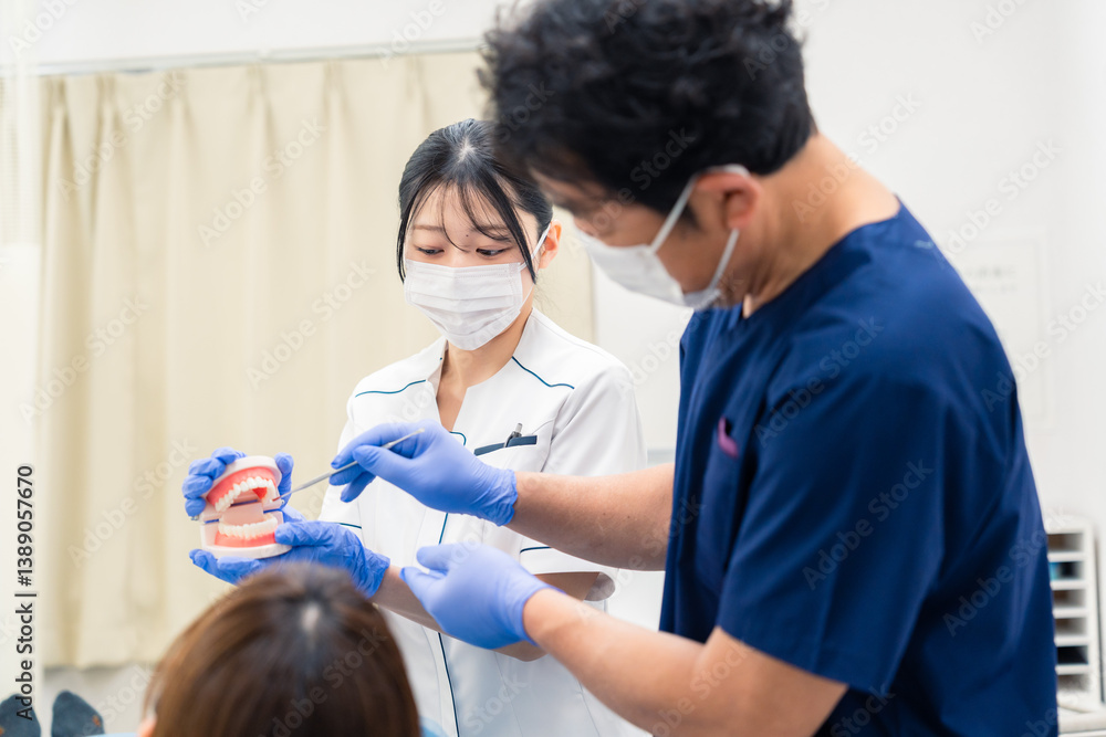 Obraz premium 歯の模型を使って歯科治療の説明をする歯医者