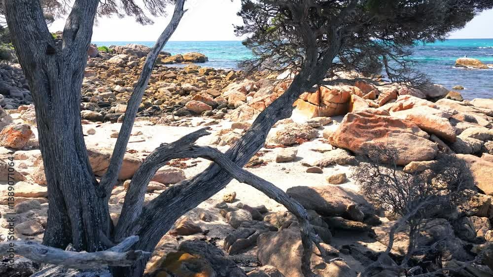 Breathtaking view of Shelly Beach WA with turquoise waters and golden sand Breathtaking view of Shelly Beach WA with turquoise waters and golden sand
