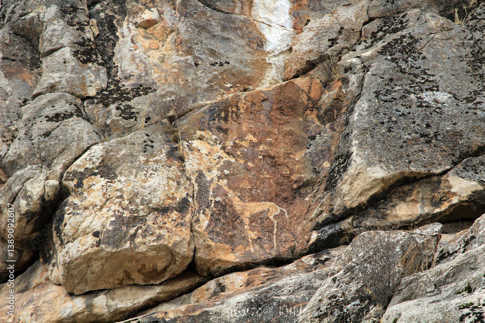 Fototapeta premium Rock paintings are found on the slopes of mountains in Central Asia. One of these is the Forty Horse Rock Paintings, located on the slopes of a hill near the Kyrgyzstan-Uzbekistan border.