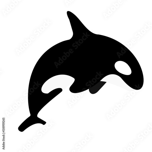 dolphin isolated on white background