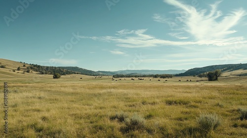 Idyllic Montana Ranch Landscape with Grazing Cattle and Rolling Hills