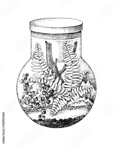 Hand drawn florarium vector illustration