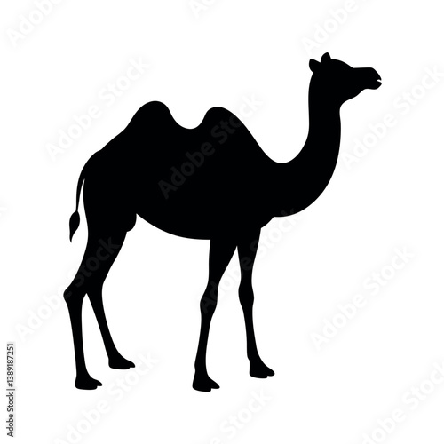 camel on a white background