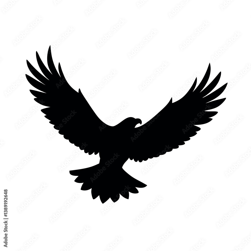 Fototapeta premium eagle in flight