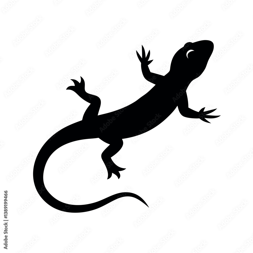 Fototapeta premium silhouette of chameleon