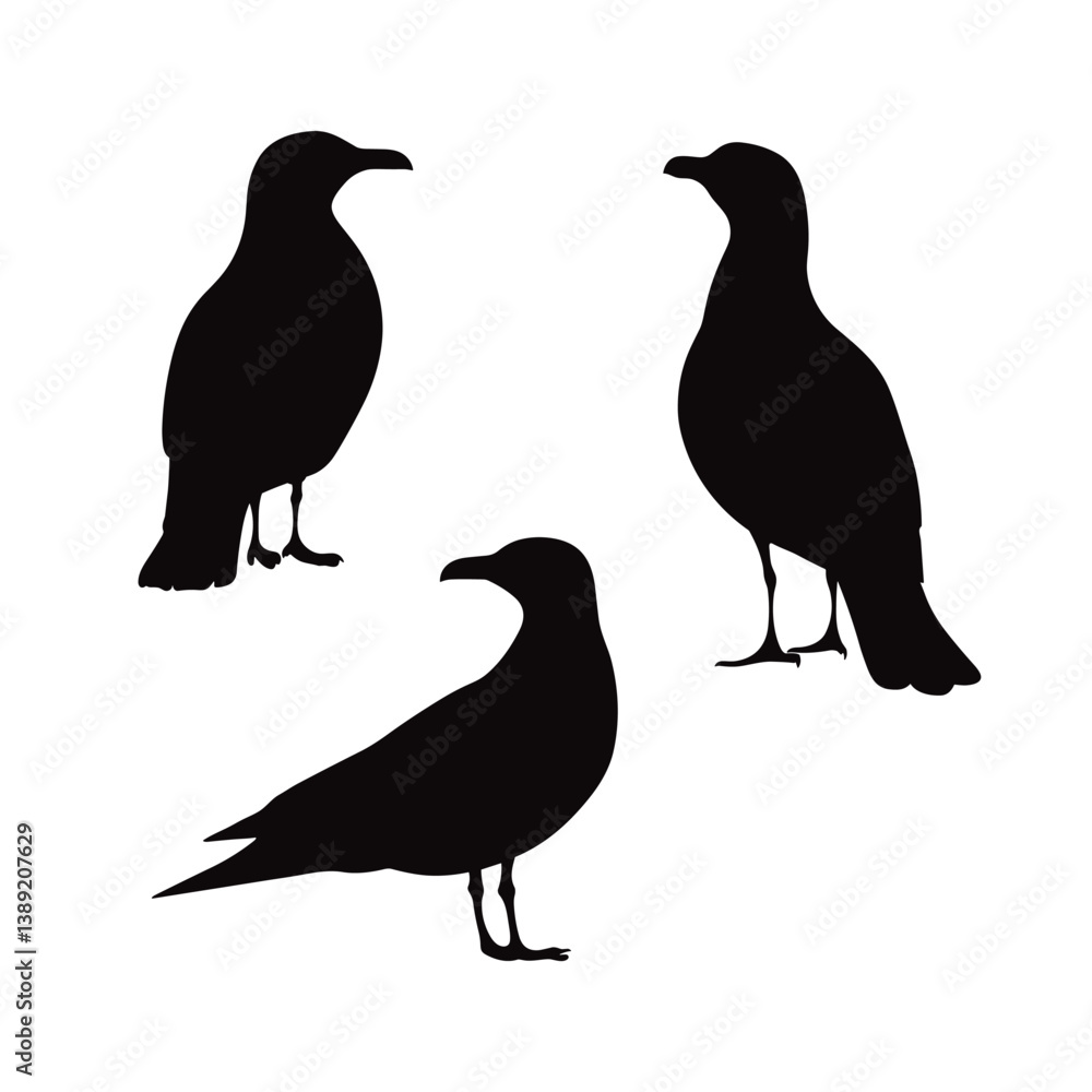 Fototapeta premium Silhouette of Three Standing Birds Vector Illustration. Silhouette vector illustration featuring three birds standing in various poses. The birds are in black on a white background. 