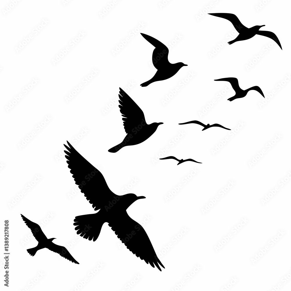 Obraz premium Bird Silhouettes Vector – Minimalist Flying and Perching Bird Icons
