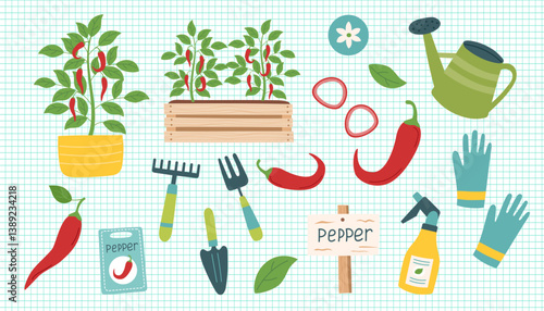 Hot red pepper cliparts isolated on checkered background. Pepper vegetable. Gardening concept. Red hot pepper and equipment for planting vegetables. Vector hand drawn illustration.