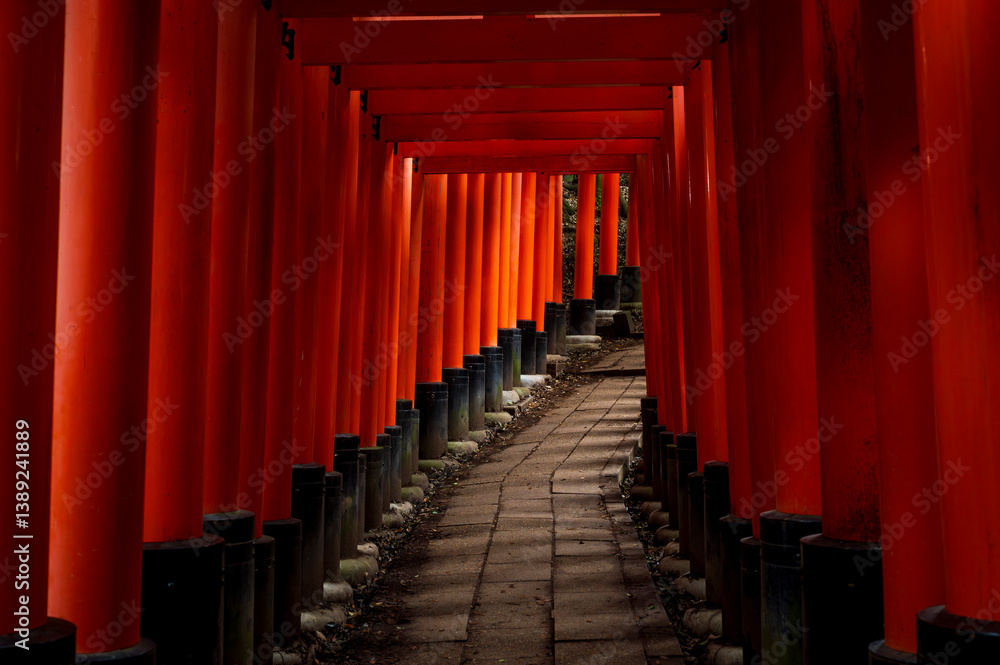 Red thousand of traditional gates or torii in Fushimi Inari Taisha with Fushimi Ward, Kyoto, Japan
