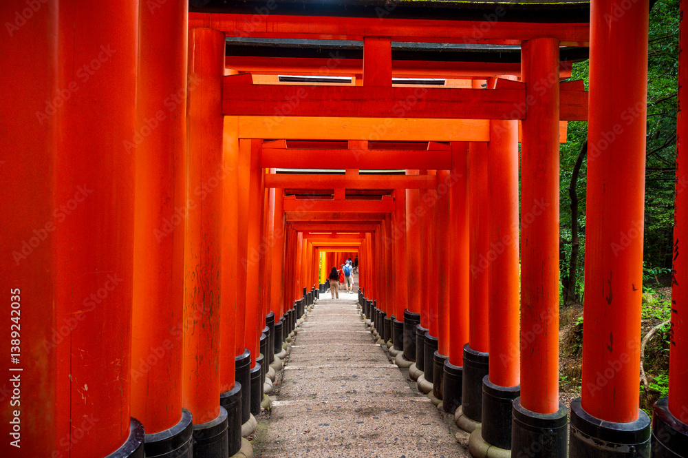 Red thousand of traditional gates or torii in Fushimi Inari Taisha with Fushimi Ward, Kyoto, Japan
