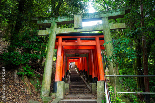 Red thousand of traditional gates or torii in Fushimi Inari Taisha with  Fushimi Ward, Kyoto, Japan