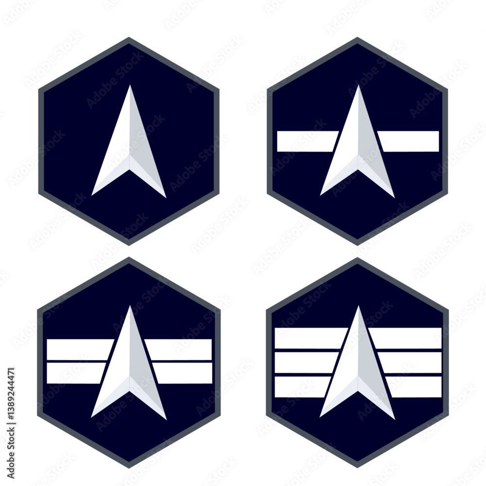 Ensemble de galons de l'armée américaine destiné à l'espace: US Space Force : Homme durang, spécialiste 1,2,3,4 Ensemble de galons de l'armée américaine destiné à l'espace: US Space Force : Homme durang, spécialiste 1,2,3,4