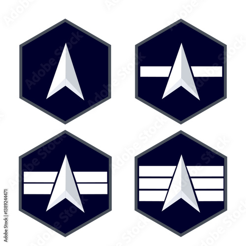 Ensemble de galons de l'armée américaine destiné à l'espace: US Space Force : Homme durang, spécialiste 1,2,3,4