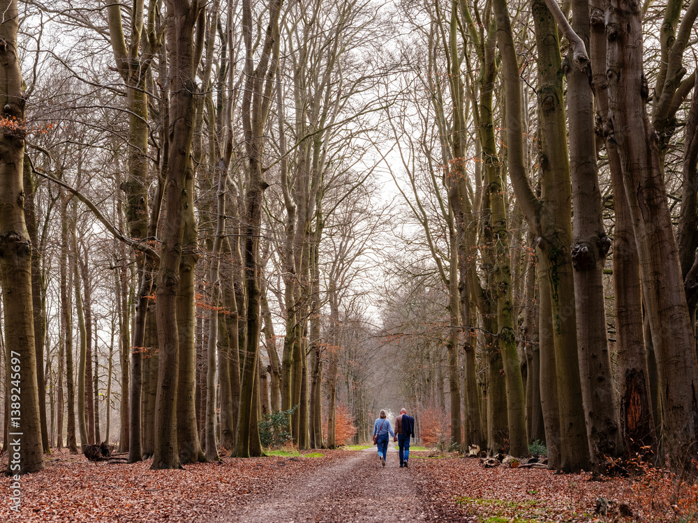 couple of man and woman hold hands while walking on forest road in the netherlands couple of man and woman hold hands while walking on forest road in the netherlands