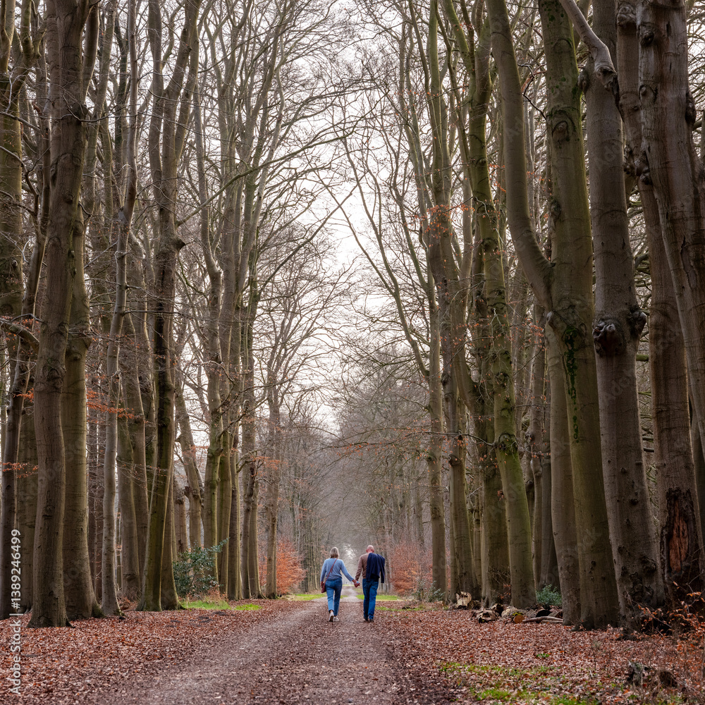 couple of man and woman hold hands while walking on forest road in the netherlands