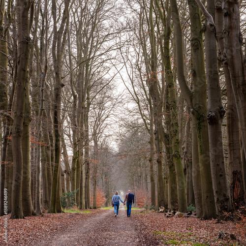 Obraz na płótnie couple of man and woman hold hands while walking on forest road in the netherlands w salonie