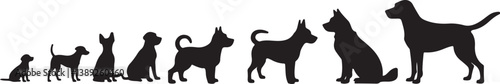 Dog Silhouette Bundle with Humans
