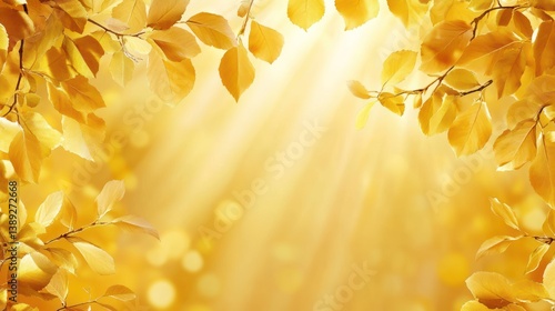 Autumn leaves frame golden sunlight