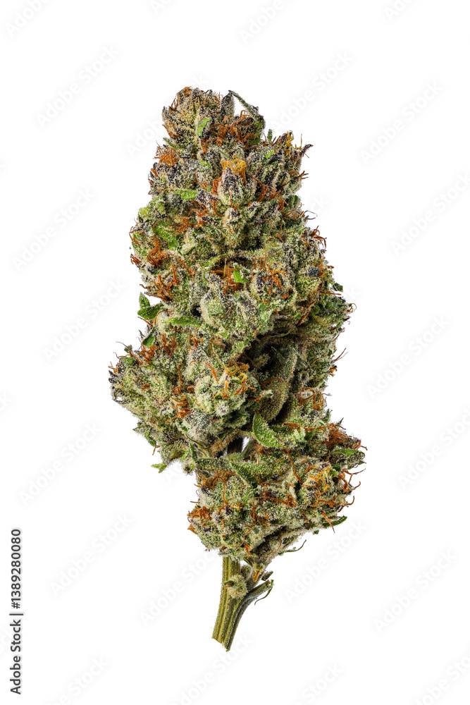 Dried Cannabis Nug on White Background Dried Cannabis Nug on White Background