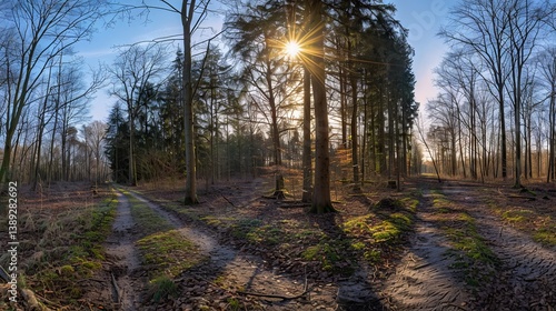 Obraz na płótnie Stunning panoramic view of a forest landscape with sun rays shining through the trees, creating a peaceful and serene atmosphere w salonie