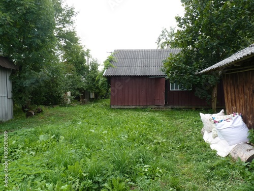 A rustic backyard in Ukraine with wooden sheds, lush green grass, and trees.