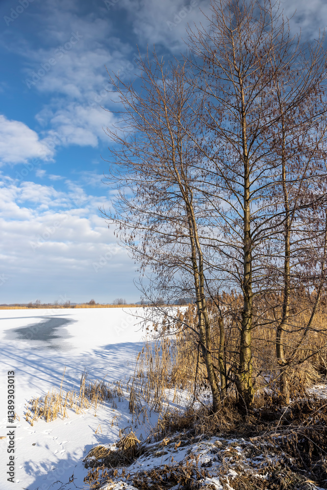 the lake covered with ice and snow in winter, the winter frozen lake after night frosts, blue sky the lake covered with ice and snow in winter, the winter frozen lake after night frosts, blue sky