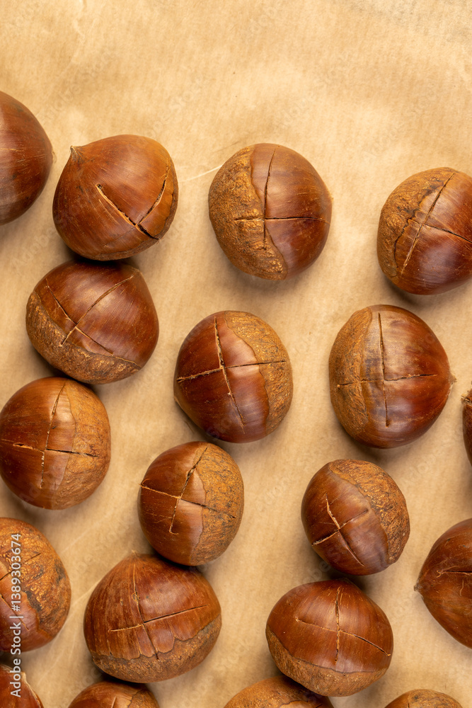preparation by cutting the shells of edible chestnut nuts for baking, close up preparation by cutting the shells of edible chestnut nuts for baking, close up