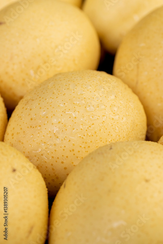 Obraz na płótnie clean pears with yellow skins with small spots in water droplets, close up, side view w salonie