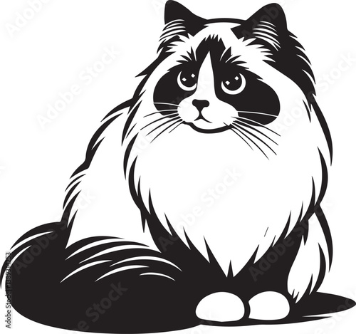 Black and White Ragdoll Cat Vector
