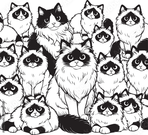 Black and White Ragdoll Cat Vector