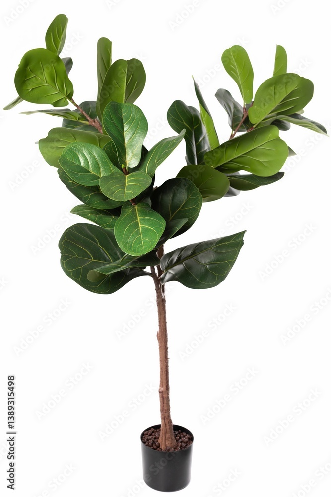 Artificial fiddle leaf fig tree in a black pot adds greenery to indoor decor in a modern setting
