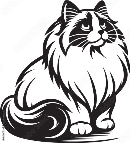 Black and White Ragdoll Cat Vector