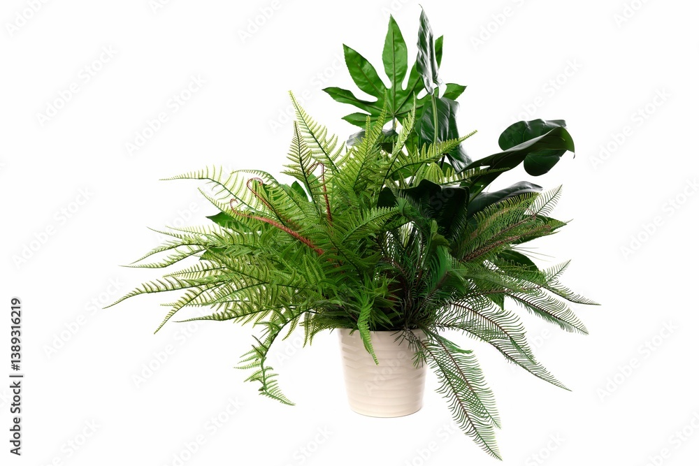 Lush green potted plants featuring various ferns and tropical leaves in a modern ceramic pot on a white background