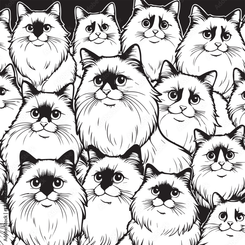 Obraz premium Black and White Ragdoll Cat Vector