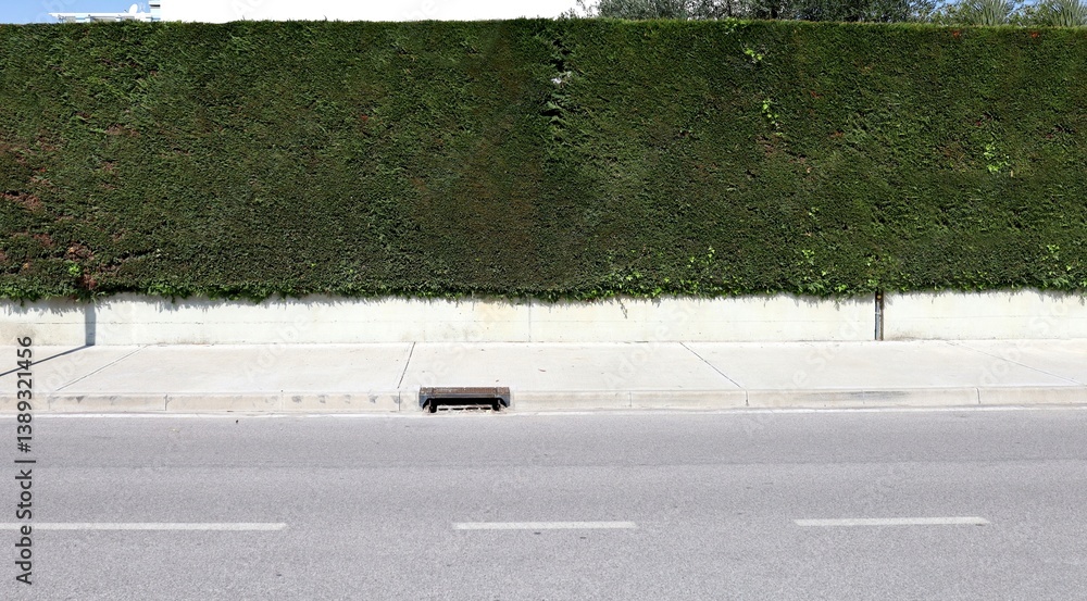custom made wallpaper toronto digitalFence consisting of a concrete base with a high hedge. Cement sidewalk and street in front. Background for copy space.