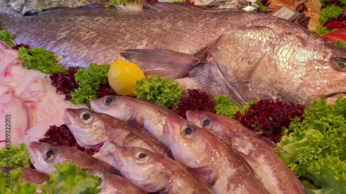 Raw fish on ice at seafood market stall with lemon and leafy greens for sale or display
