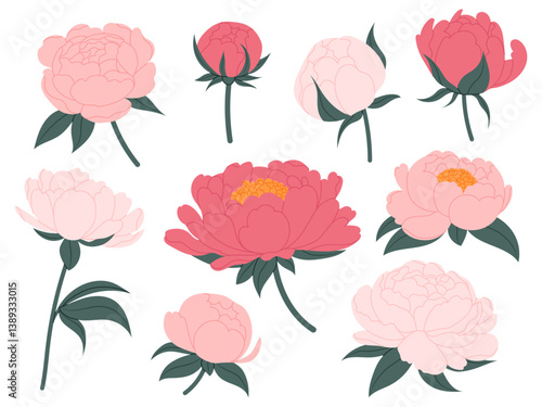Blossomed peony flowers set. Floral buds, plants, bouquet. Beautiful blooms in flat style. Realistic botanical vector illustrations set isolated on white background.