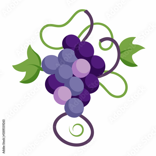 High-quality grapes vector art with a minimalist white background for food industry branding.