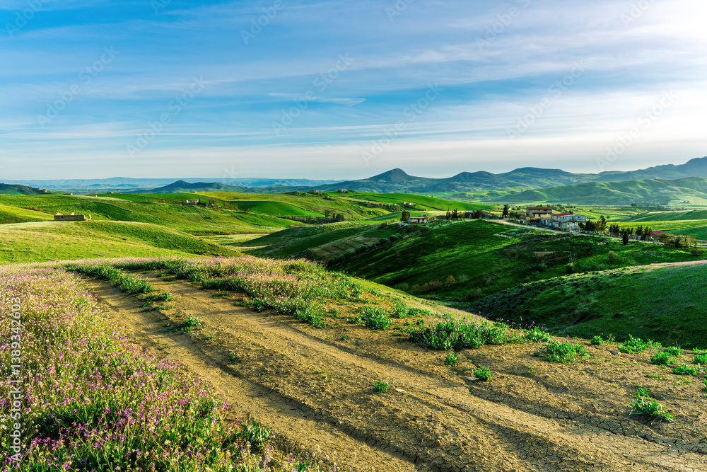 Fototapeta premium beautiful spring colorful flowering meadow with bright green hills of farm grassland and rustic path road leading far away to countyside valley and vivid sky of landscape