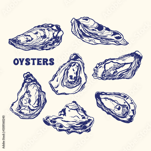 Hand-Drawn Oysters in Vintage Sketch Style
