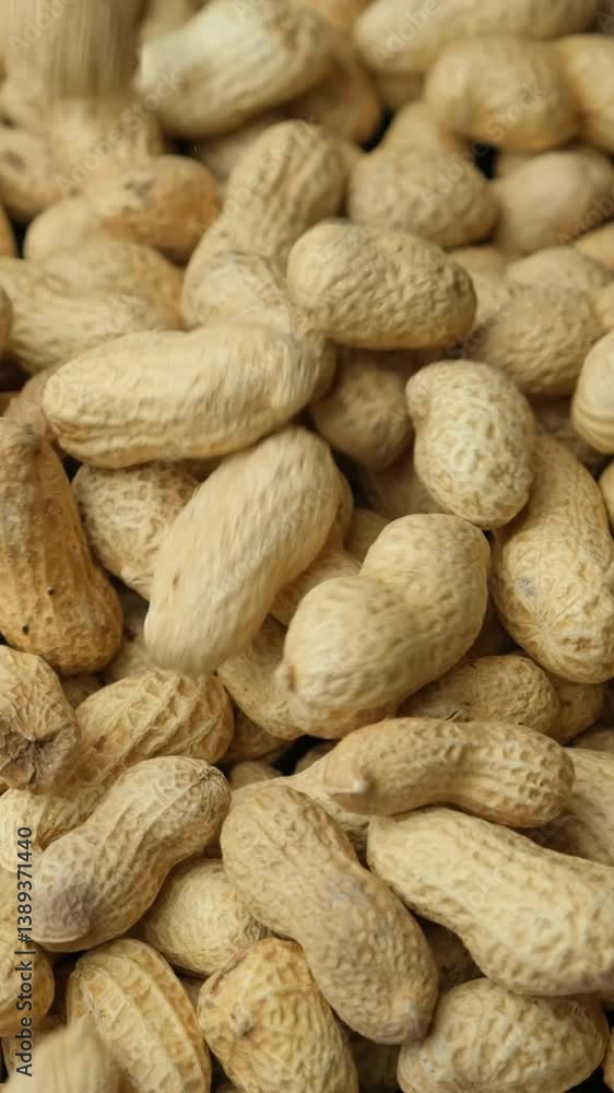 Whole Raw Peanuts in Shell Pour Vertical Slow Motion Close-Up Whole Raw Peanuts in Shell Pour Vertical Slow Motion Close-Up