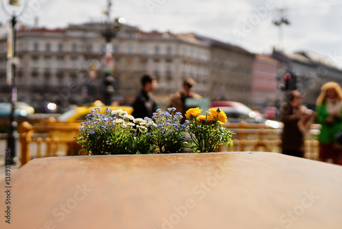 Fototapeta Naklejka Na Ścianę i Meble -  A close-up of small flowers on a wooden surface with a blurred urban street background.