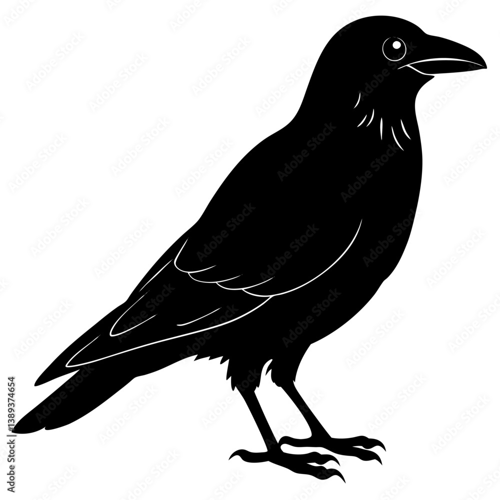 Fototapeta premium crow on a white background