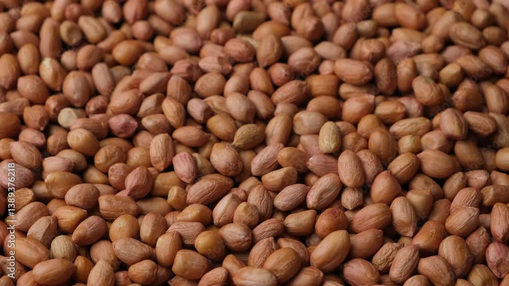 Premium Quality Raw Natural Brown Peanuts Without Shell Rotate Premium Quality Raw Natural Brown Peanuts Without Shell Rotate