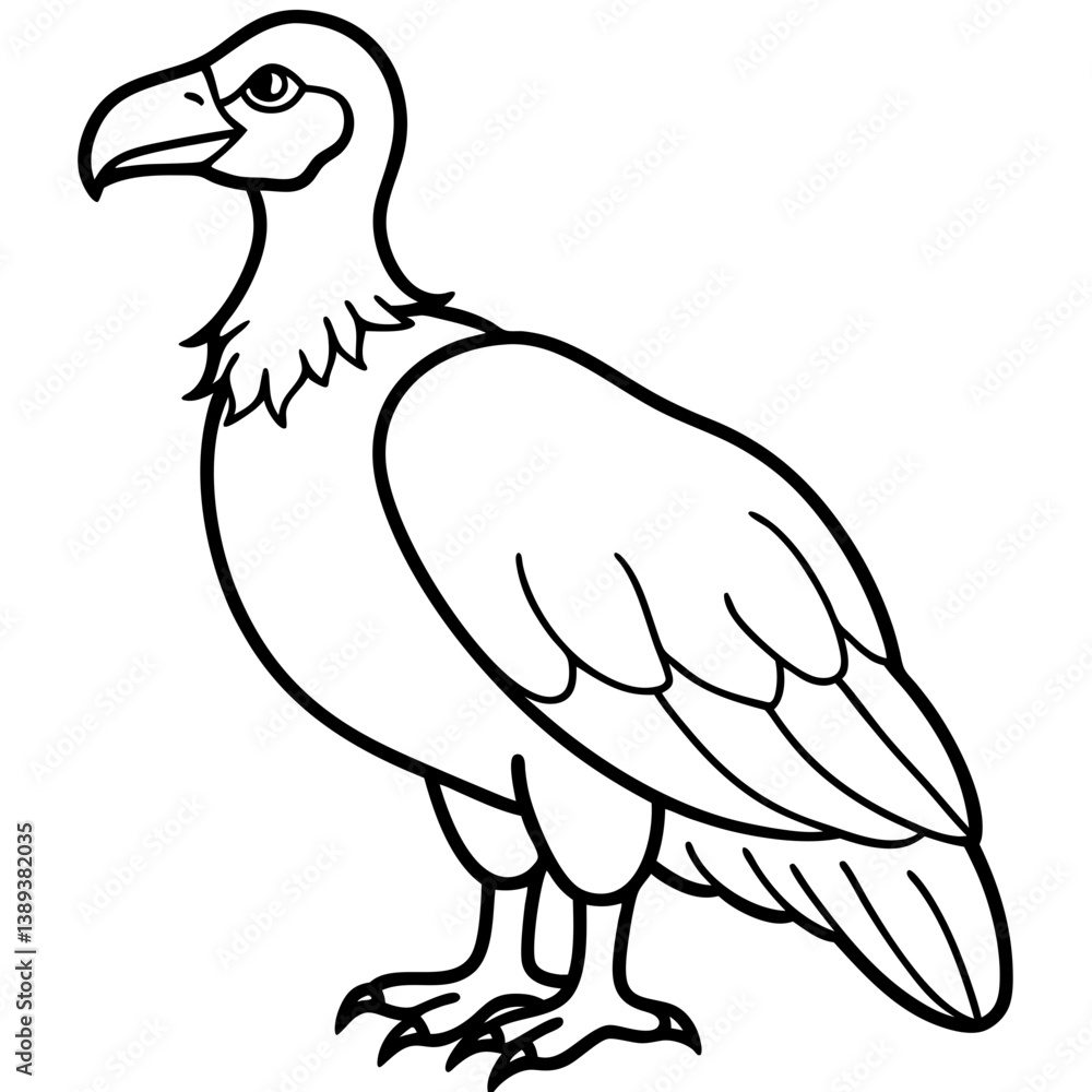 vector drawing of a bird vector drawing of a bird