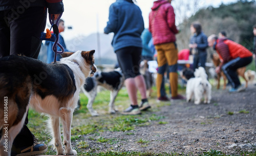 Fotografie Dogs and owners gathering before canicross race