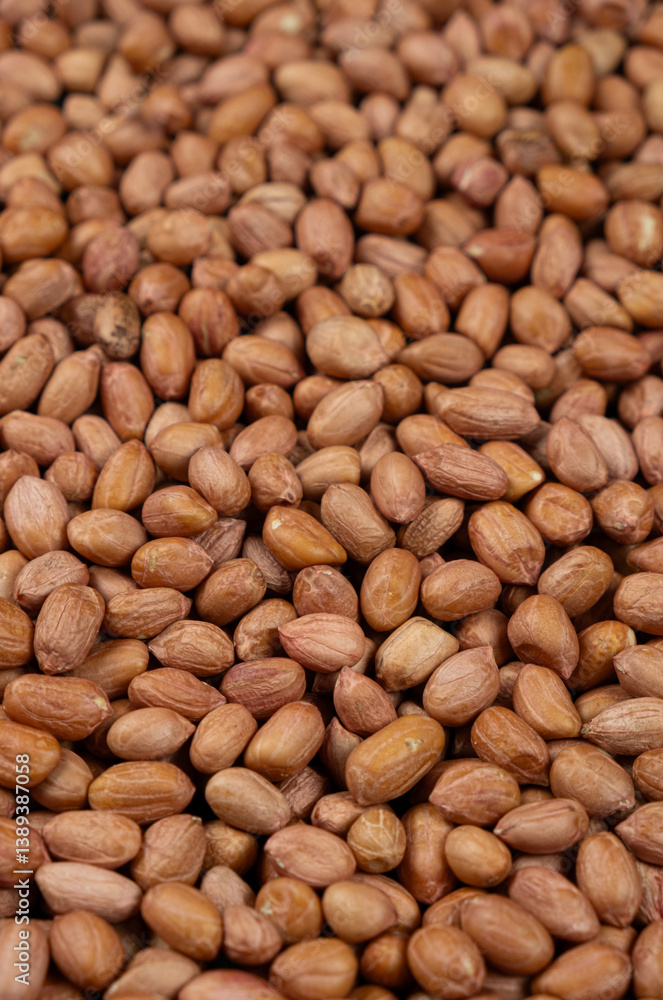 Premium Quality Raw Natural Brown Peanuts Without Shell Premium Quality Raw Natural Brown Peanuts Without Shell