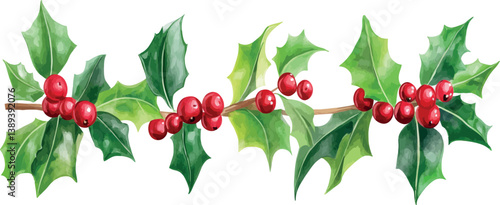 Modern flourish vignettes, decorative Christmas and wedding dividers, borders, and delimiters, along with holly berry floral frame dividers for winter holiday decorations