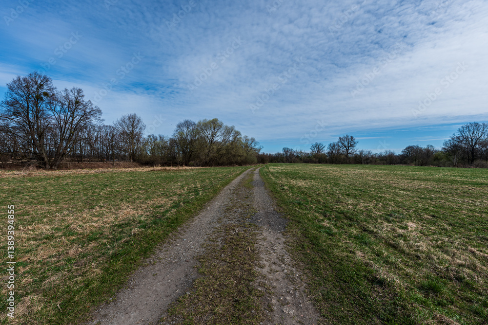 Trail on meadow with trees on the background and beautiful sky during early springtime Trail on meadow with trees on the background and beautiful sky during early springtime